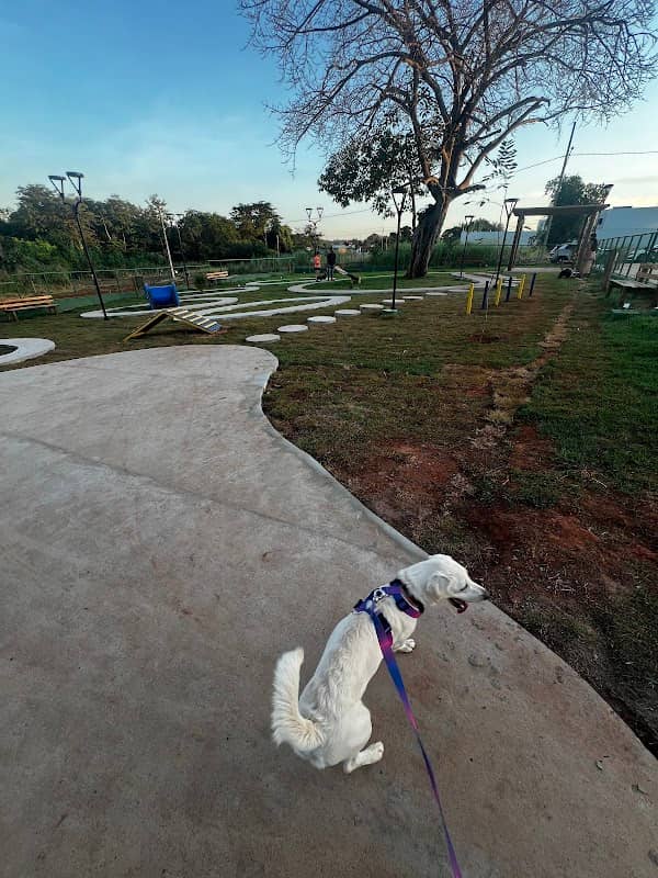 ParCão - Image 1