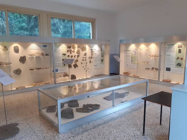 Civico Museo Insubrico di Storia Naturale e Visitor Center Monte San Giorgio UNESCO - Image 2