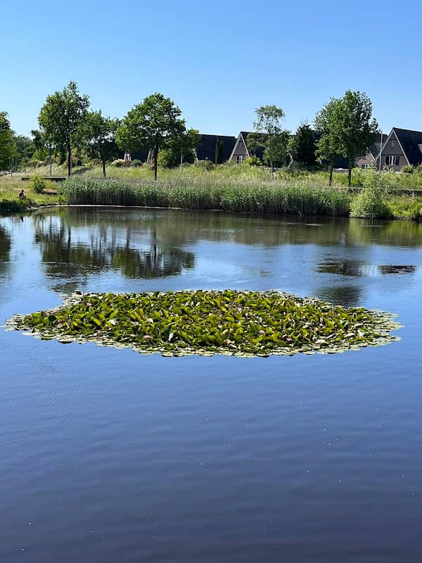 Kruidenwijk vijver - Image 1