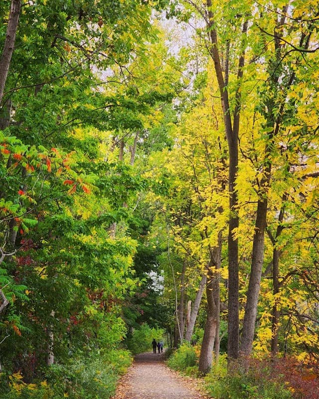 Royal Botanical Gardens - Hendrie Valley Sanctuary - Image 3