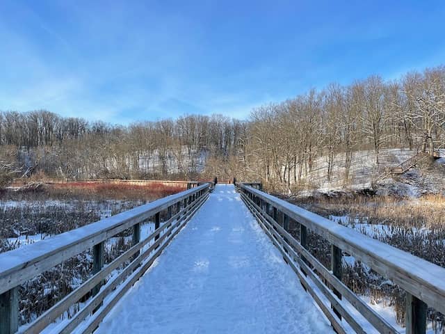 Royal Botanical Gardens - Hendrie Valley Sanctuary - Image 2