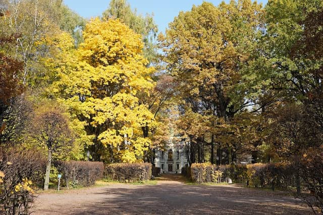 Kuskovo Estate Museum - Image 2