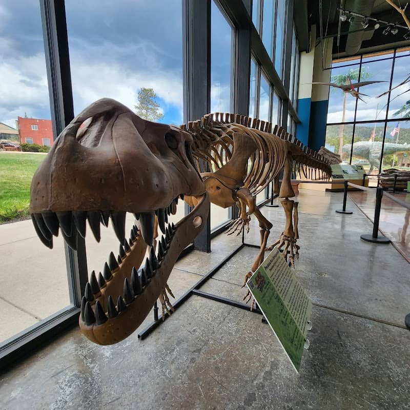 Rocky Mountain Dinosaur Resource Center - Image 3