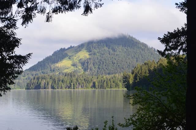 Beginning of Row River Trail - Image 2
