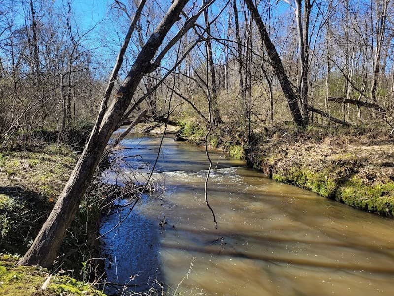 Swift Creek Bluffs Nature Preserve - Image 1