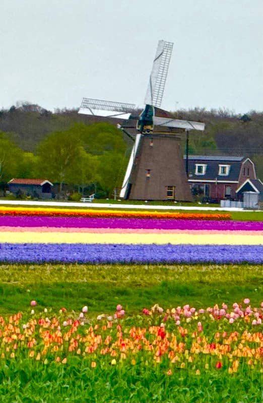 TulipLandroverTour.com - Image 2