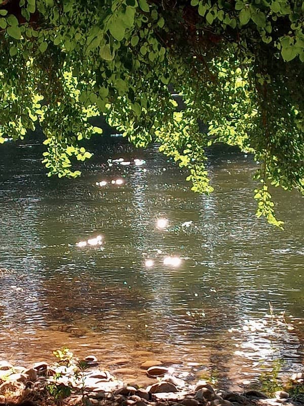 Kings River Park - Image 1