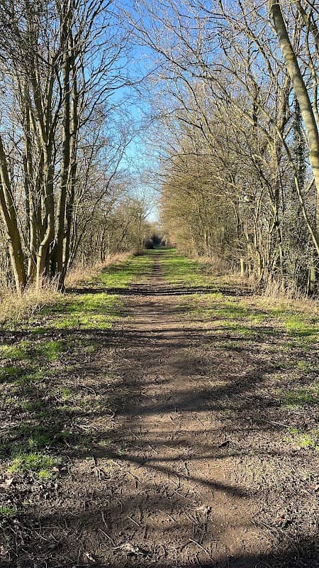 Whelnetham Railway Walk - Image 1