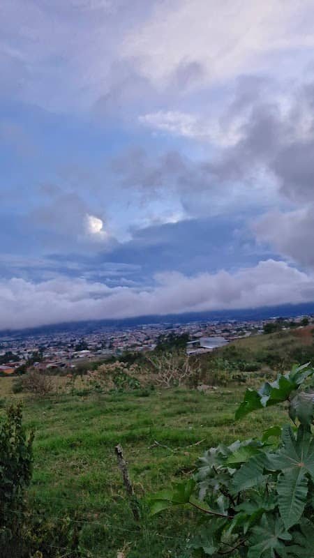 Santa Eduviges. - Image 1