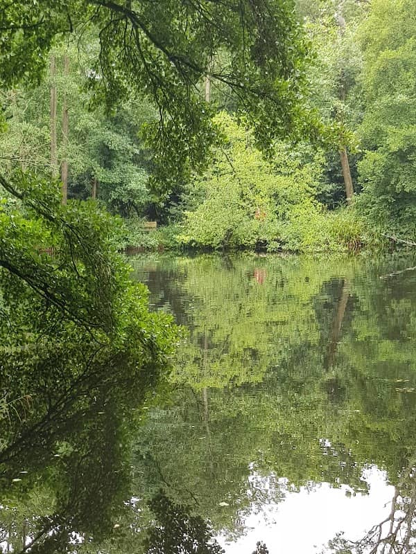Brockhill Country Park - Image 2