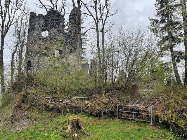 Burg Fluhenstein - Image 1