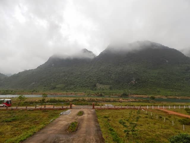 Rescue center, conservation and development of organisms - Image 1