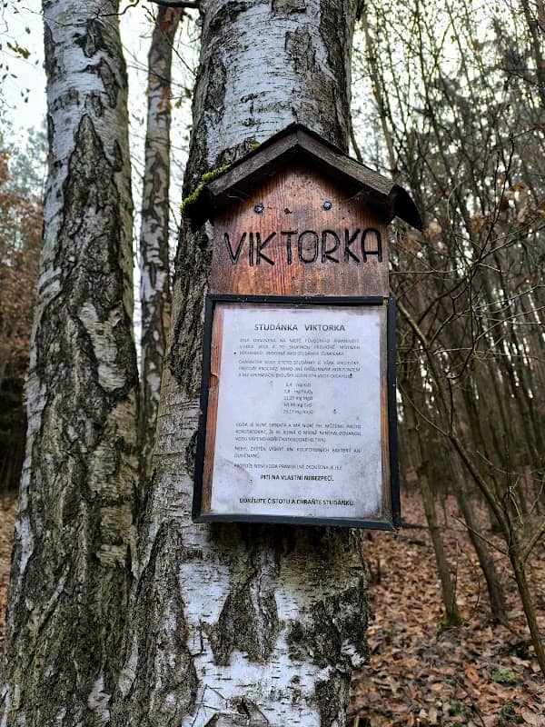 Studánka Viktorka - Image 2