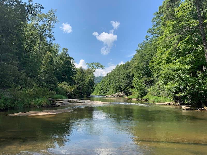 Pisgah Game Lands - Image 2