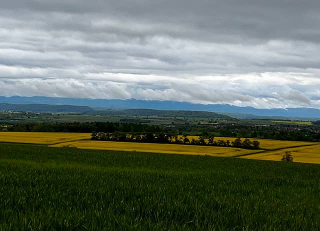Bänkchen - Image 2