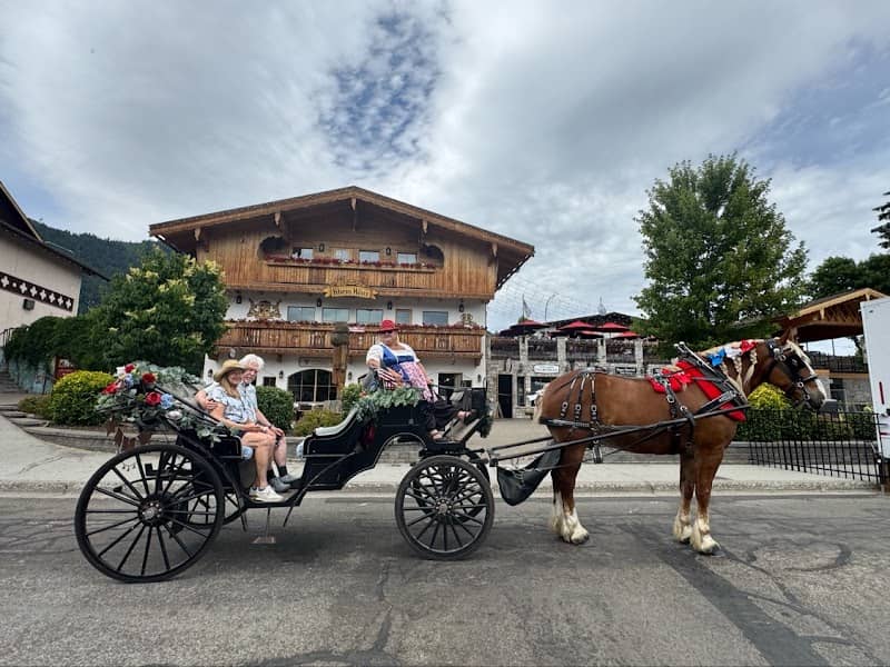 Horse Carriage Rides - Image 1
