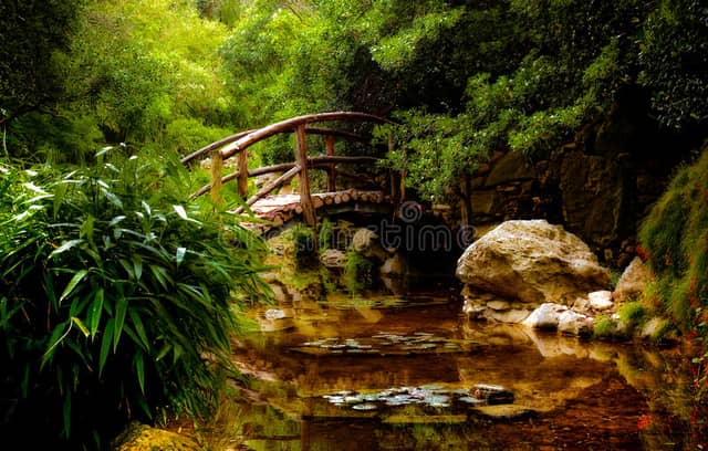 Bhamare Farms - Image 1