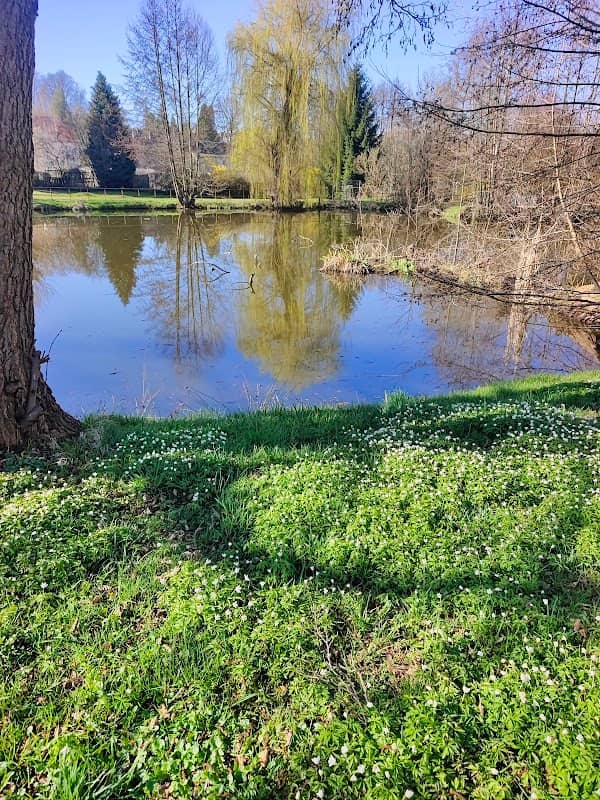 Mittelteich - Image 1