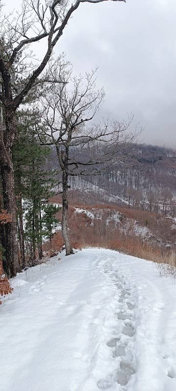 Vidikovac - Image 1