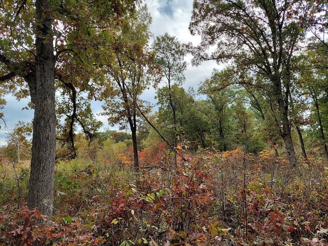 Stoutsburg Savanna Nature Preserve Parking Area - Image 1