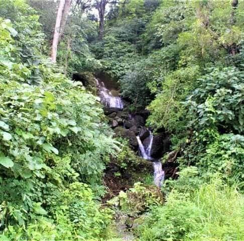 Cascada de ojos de agua - Image 1