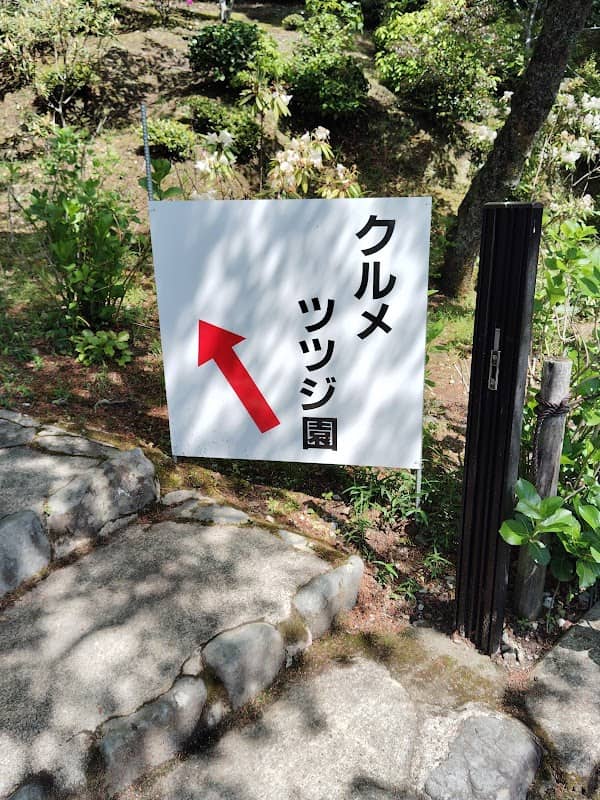 久留米つつじ園 - Image 2