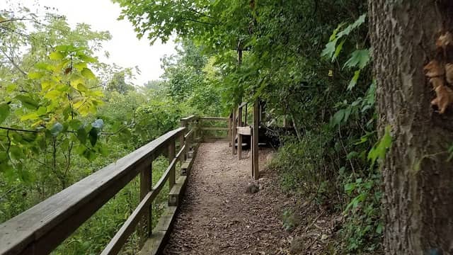 Bennett's Terraqueous Gardens - Image 1