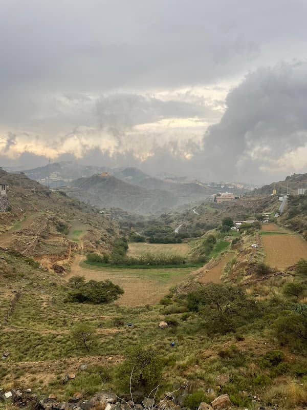 مطل جميل - Image 1
