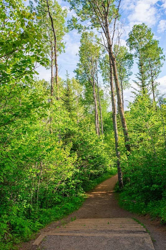 Cascades Conservation Area - Image 1