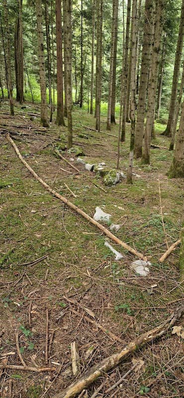 Gomilno grobišče Cvinger (Branževec) - Image 2
