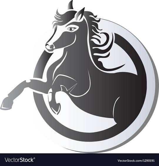 PLAY ON STABLE - Image 1