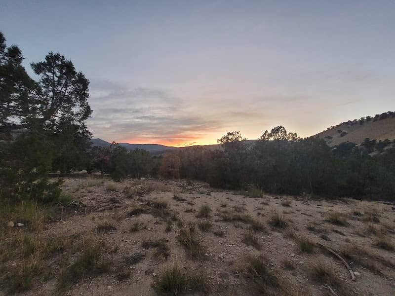 Twisted Acres - Image 1