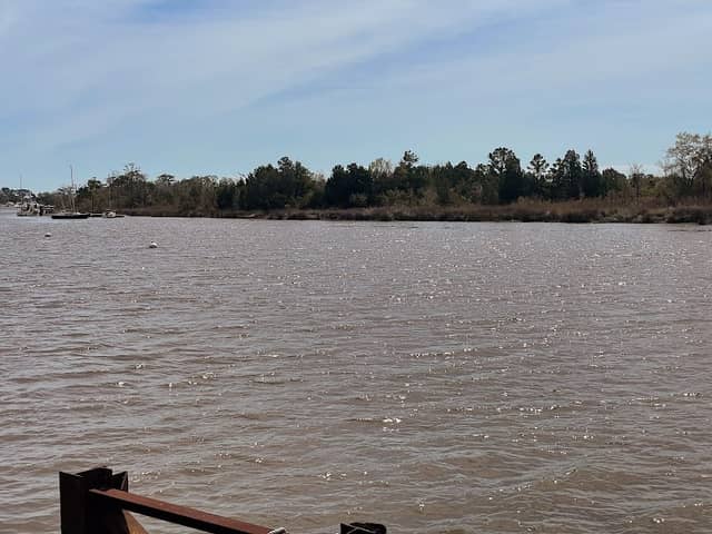 Goat Island - Image 2