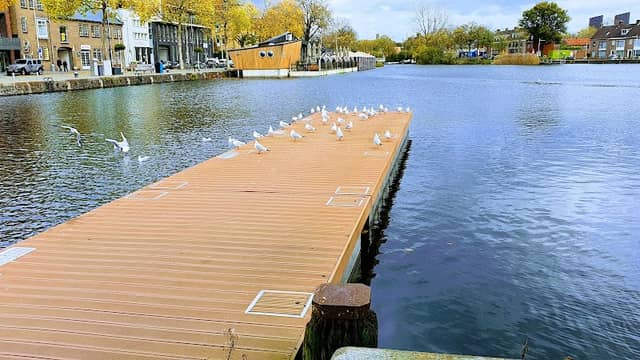 Meuweplènkske (Piushaven) - Image 1