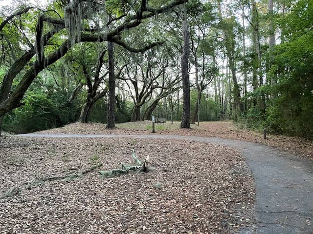 Marsh View Trail - Image 3