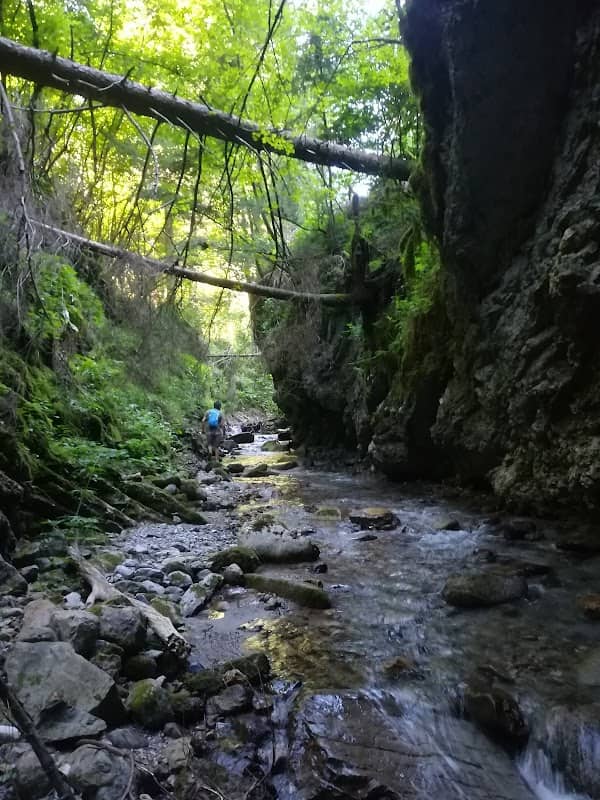 Forra Del Rio Secco, Lago Di Tenno, Trentino - Image 1