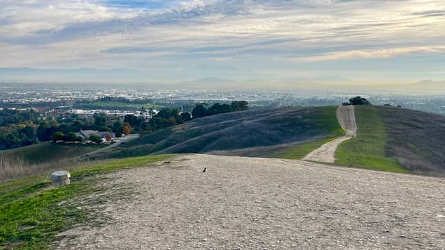 Eucalyptus Trail - Image 1