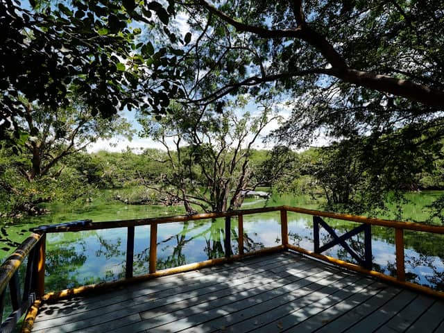 Salud Park - Image 1