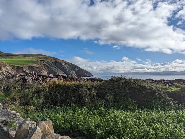 Minard Beach - Image 3