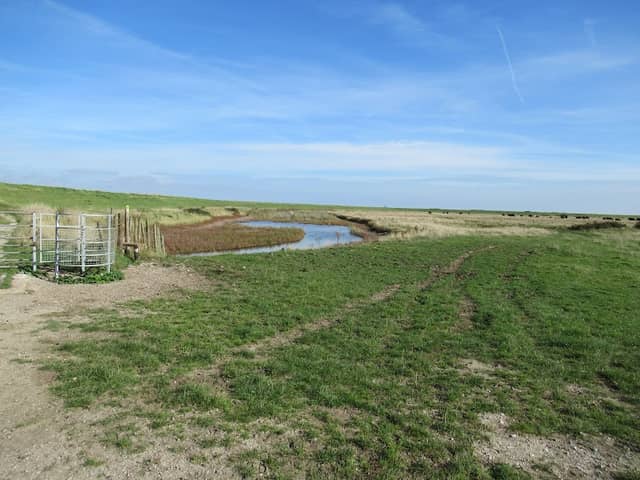 Kingsmead Park - Image 1