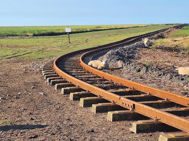 Deichquerung Halligbahn Dagebüll–Oland–Langeneß - Image 1