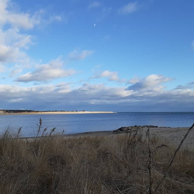Sampsons Island Wildlife Sanctuary - Image 3