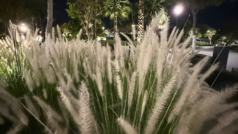 Diac Park - Image 3