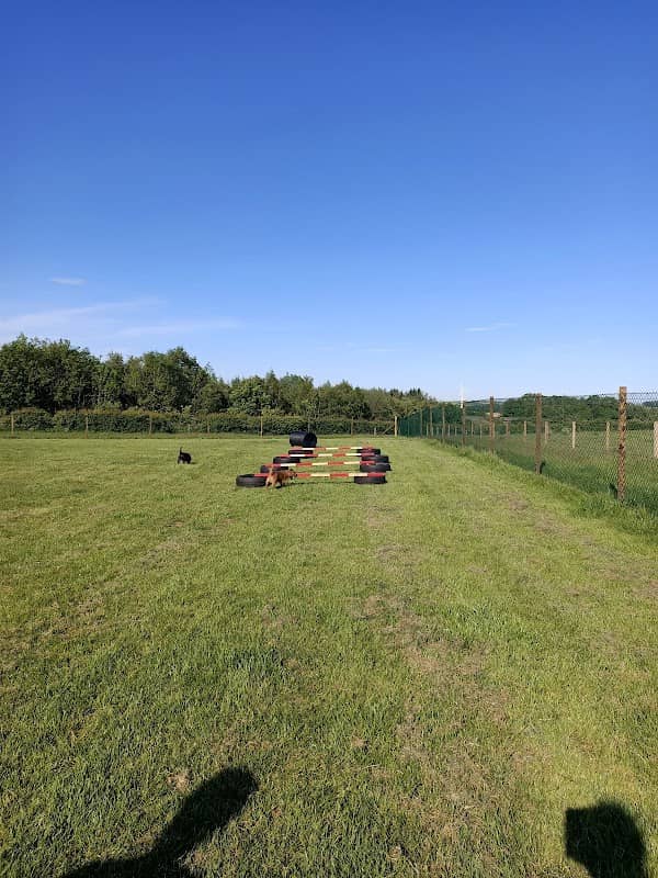 Run Free Dog Fields - Kilmarnock - Image 1