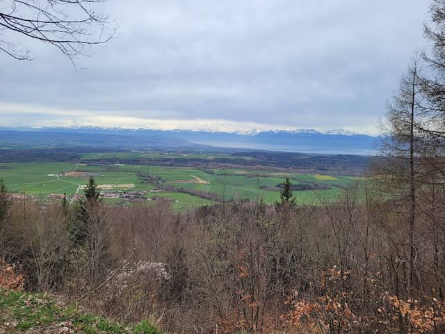 Point de vue - Image 1