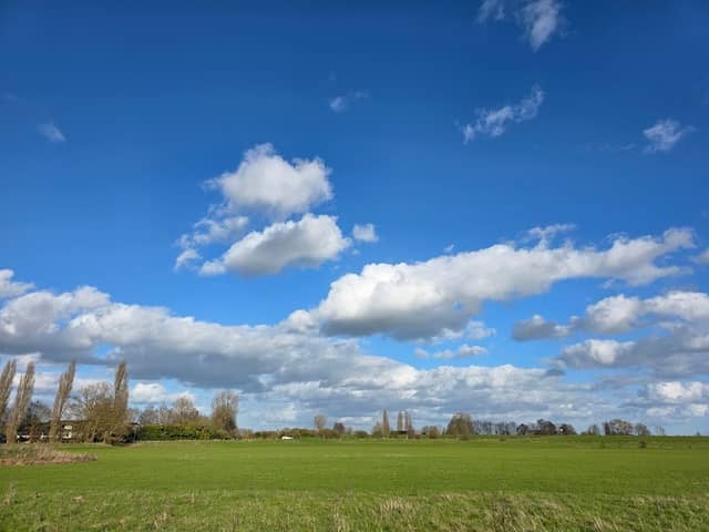 Middelwaard - Image 1