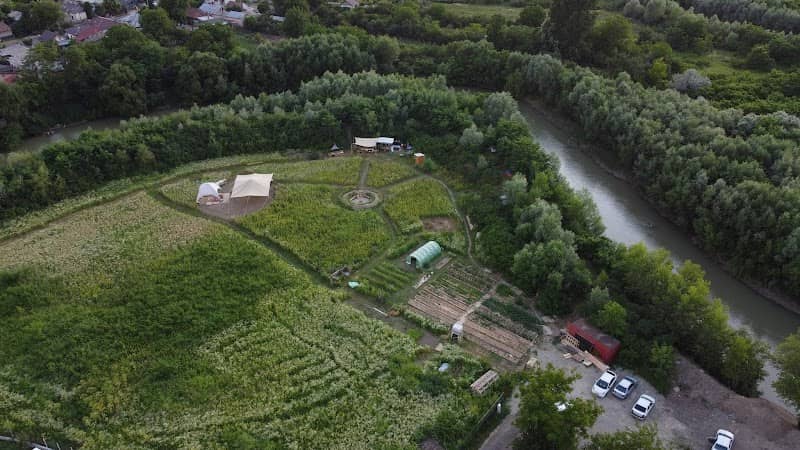 Gradina Comunitara Buruiana - Image 1