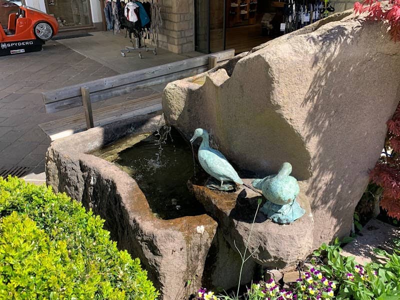 Entenbrunnen - Image 1