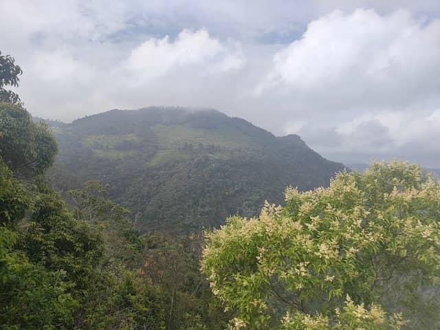 Lamb's Rock Tea Garden View Point - Image 3