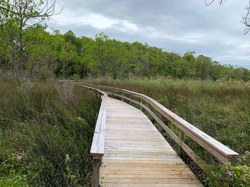 Hammock Hills Trail - Image 2